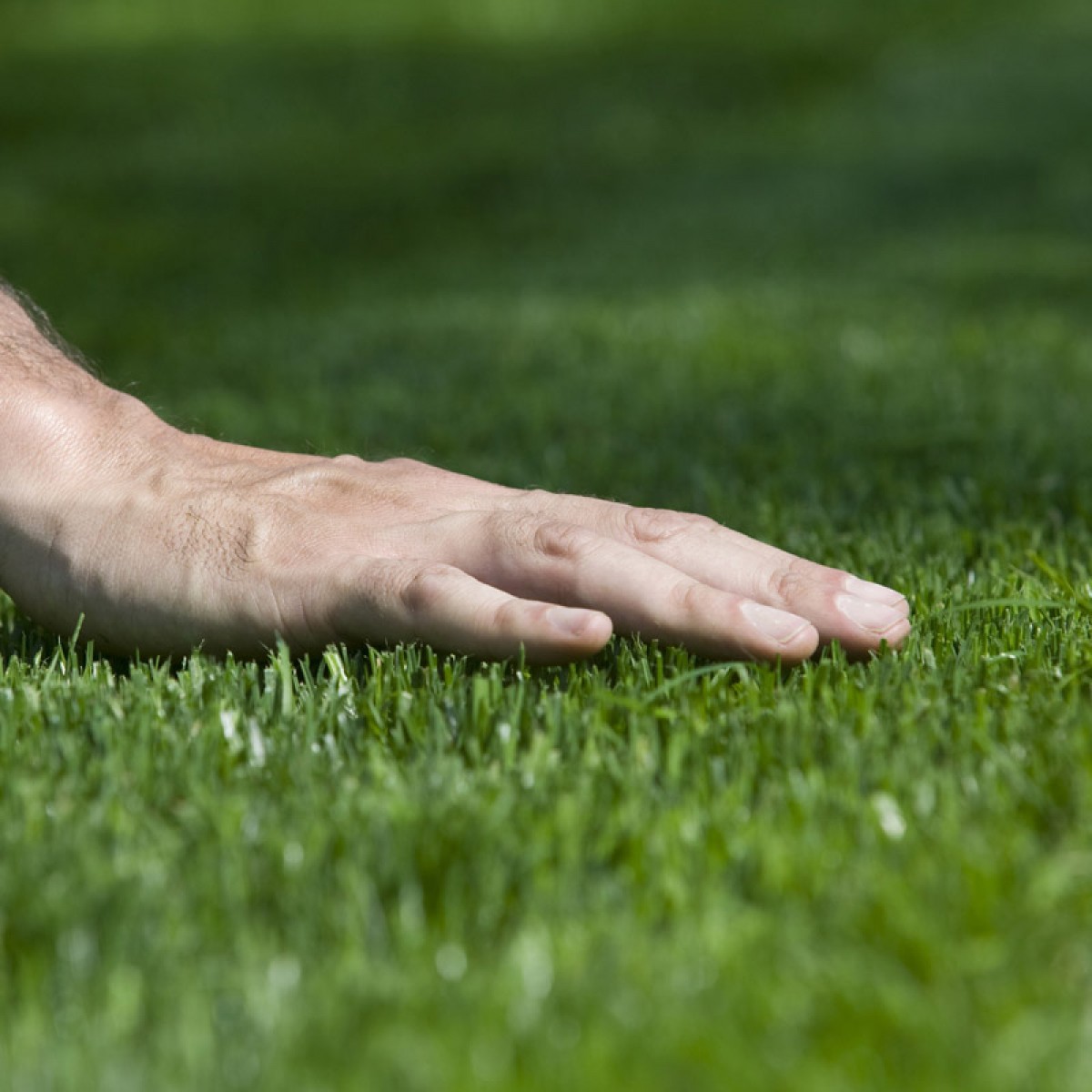 Hand on fake grass